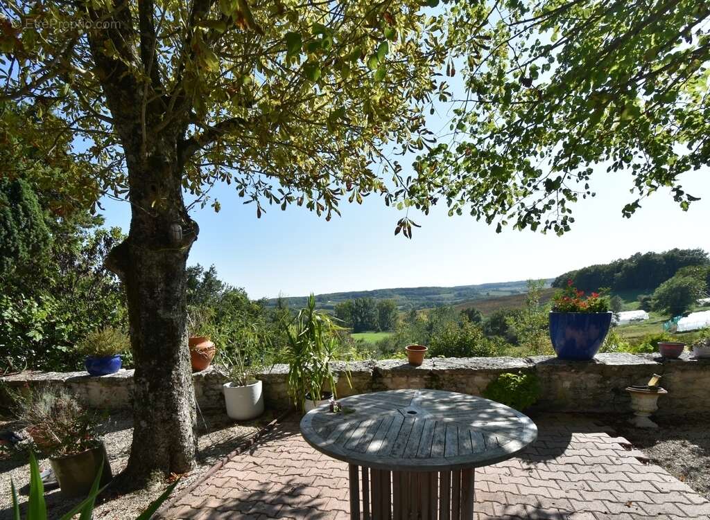 Grande propriete - gite / chambres d'hôtes - photo 4