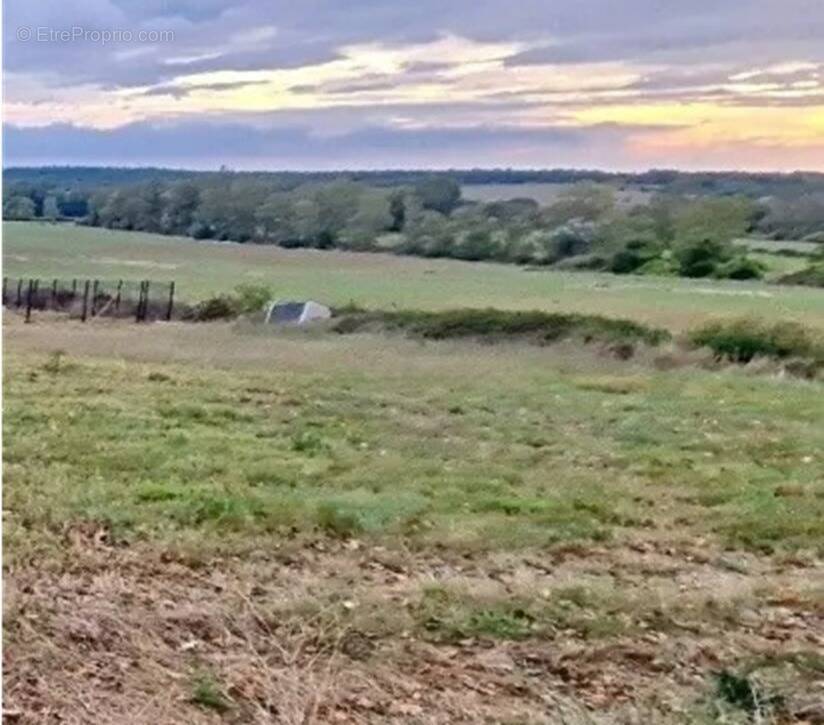 Terrain à VILLESPY