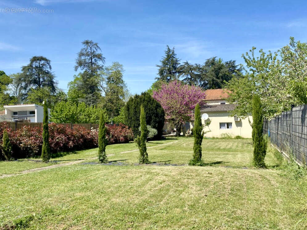 Maison à SAINT-VITE