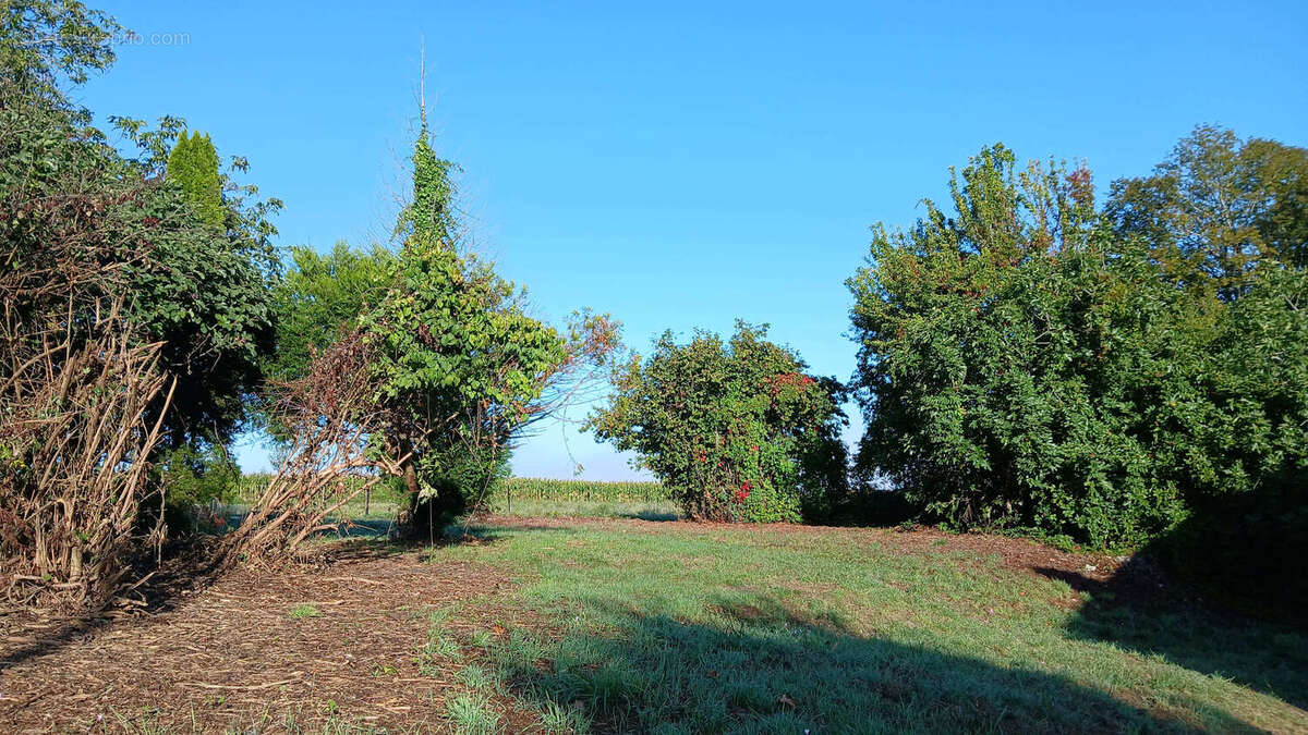 Maison à MONTMOREAU-SAINT-CYBARD