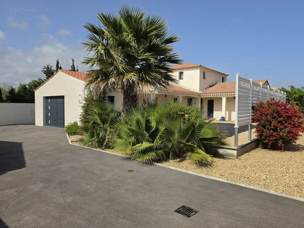 Maison à GRUISSAN