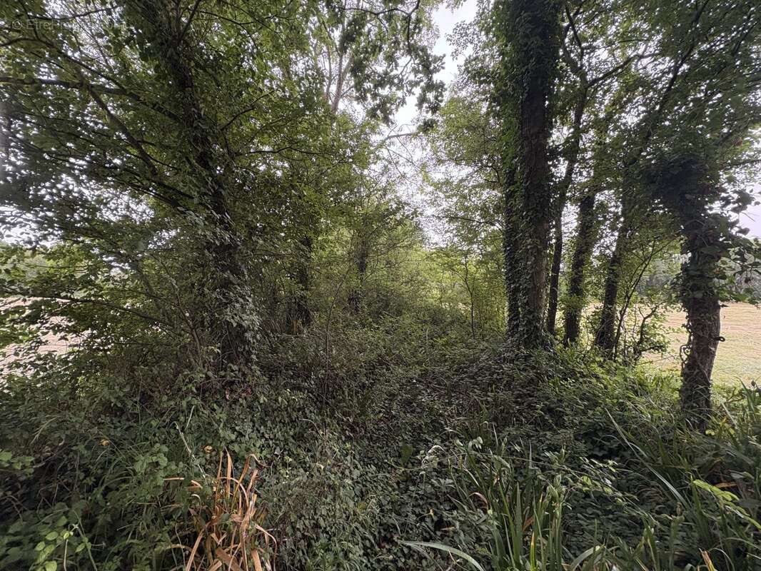 Terrain à AGON-COUTAINVILLE