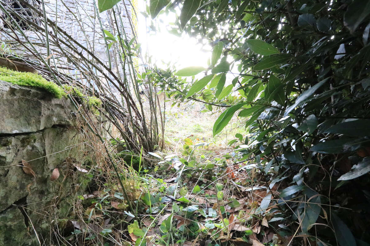 Maison à MOULINS-EN-TONNERROIS