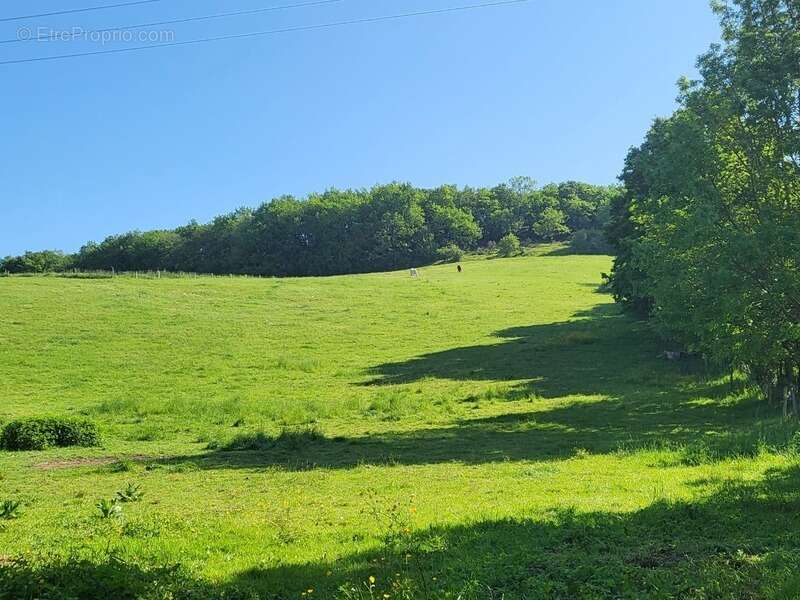 Terrain agricole sur 6 hectares, bois, source, compteur d'eau, clos, abri animaux, chevaux - photo 12