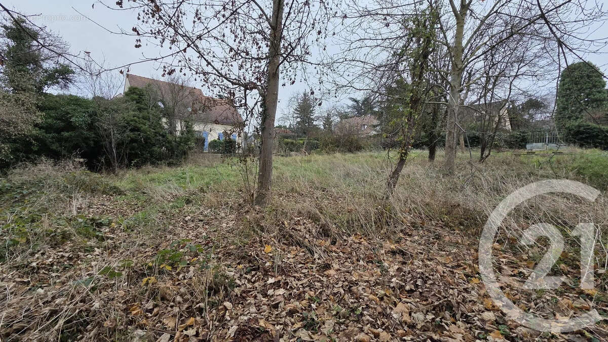 Terrain à LAGNY-SUR-MARNE