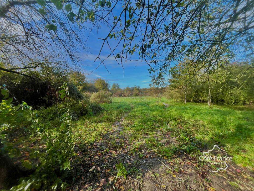 Maison à TANNERRE-EN-PUISAYE