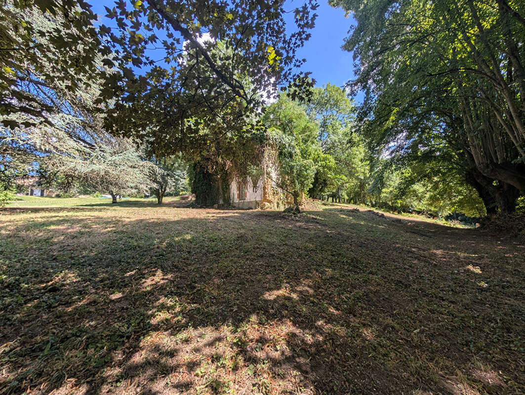Terrain - Vienne  -16000 m2 - photo 11