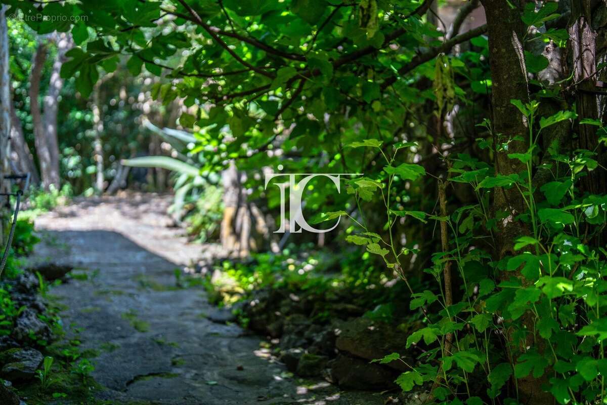 Maison à SAINT-PAUL-LE-JEUNE