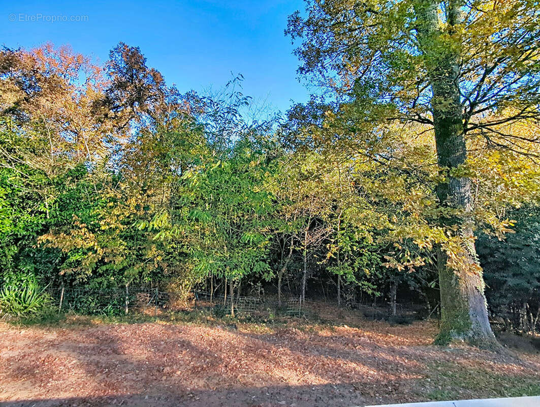 Maison à BELIN-BELIET