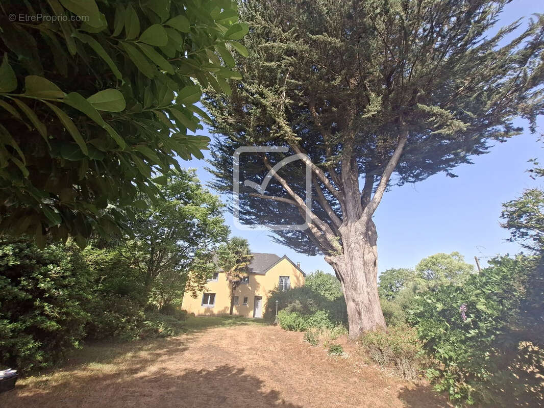 Maison à CONCORET