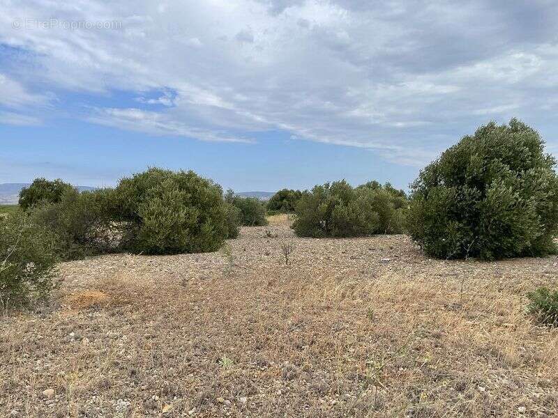 Terrain à SAINT-HIPPOLYTE