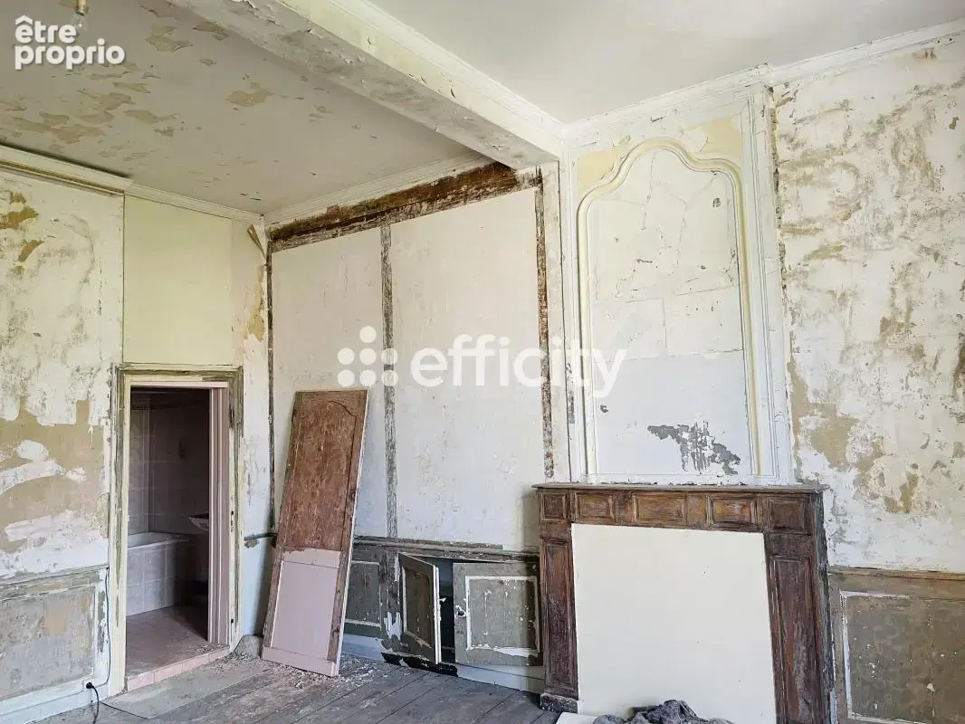Hôtel particulier - photo 17