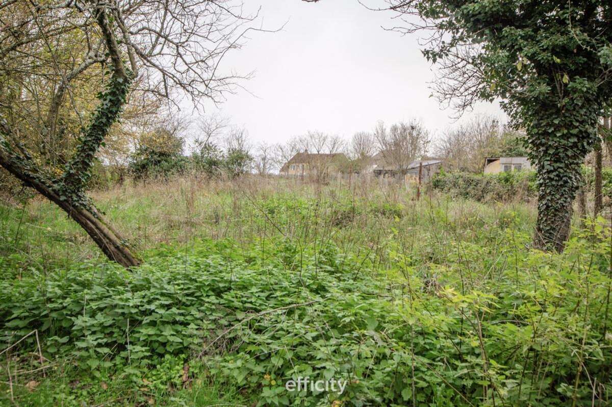 Maison à CERCY-LA-TOUR