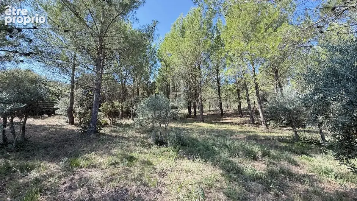 Maison contemporaine de plain pied avec parc et oliveraie de 3500 M2 - photo 31