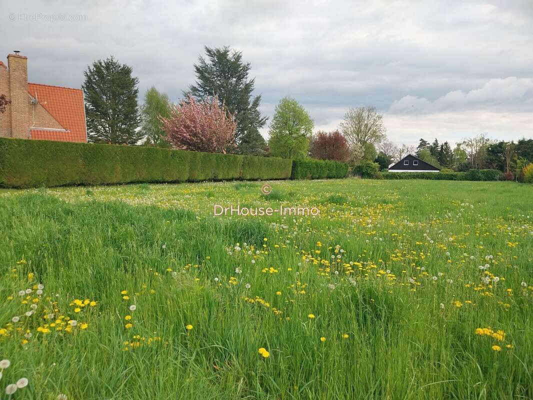 Terrain à SAINGHIN-EN-MELANTOIS