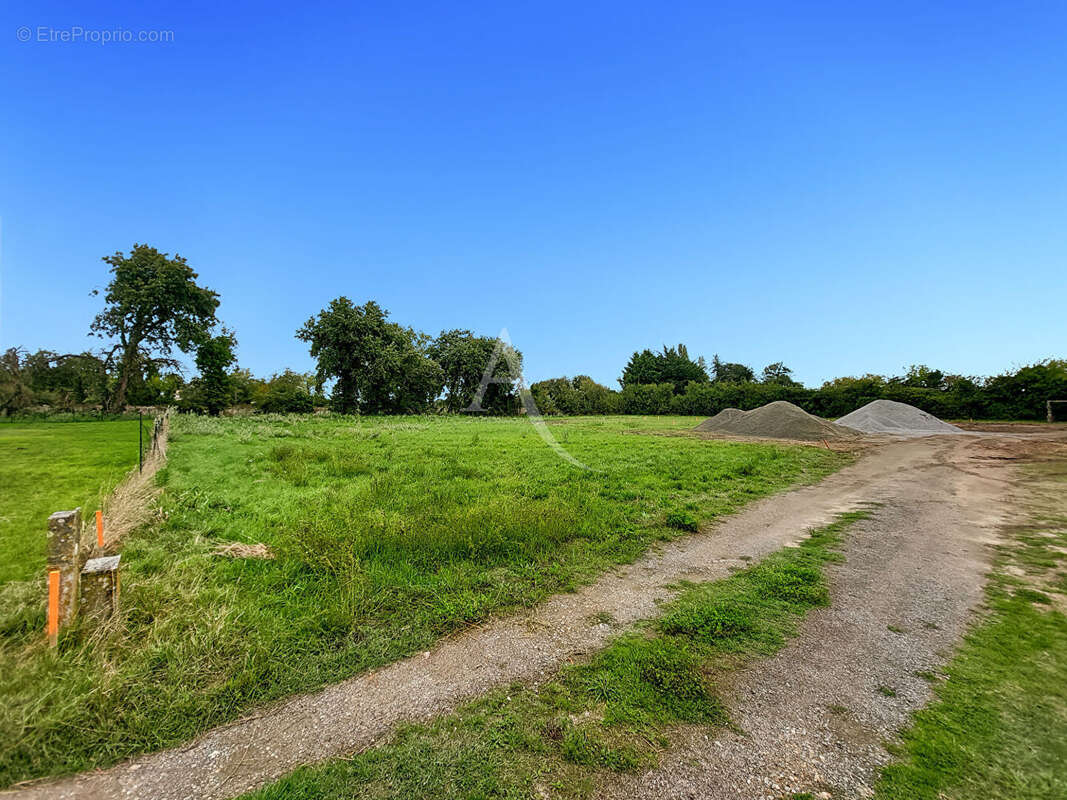 Terrain à NOTRE-DAME-DE-MONTS