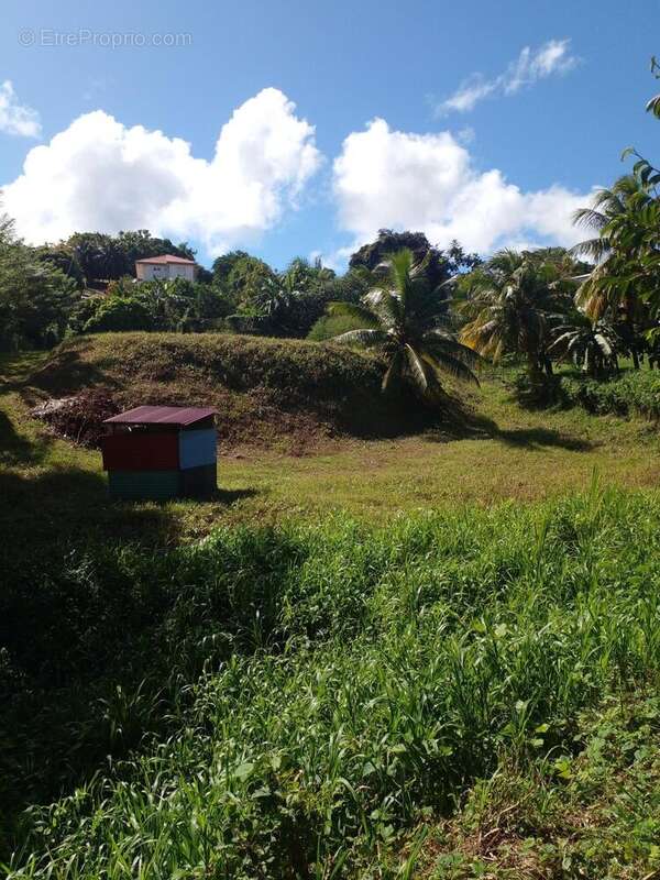 Photo 4 - Terrain à LE LAMENTIN