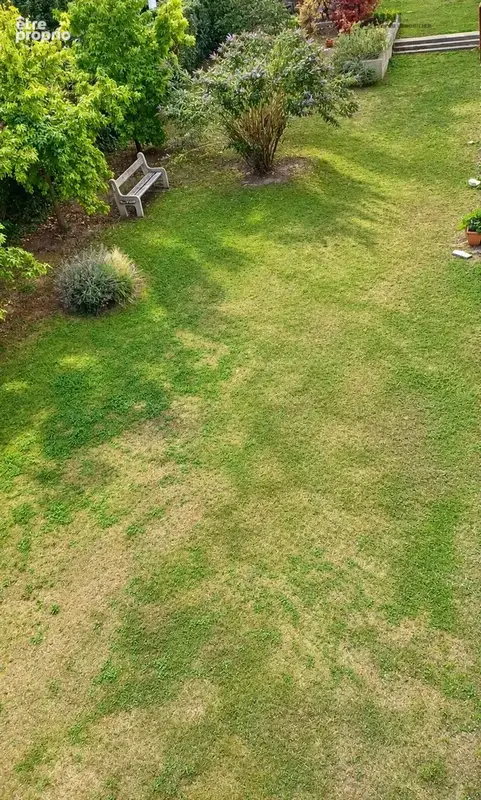 Jardin partie commune