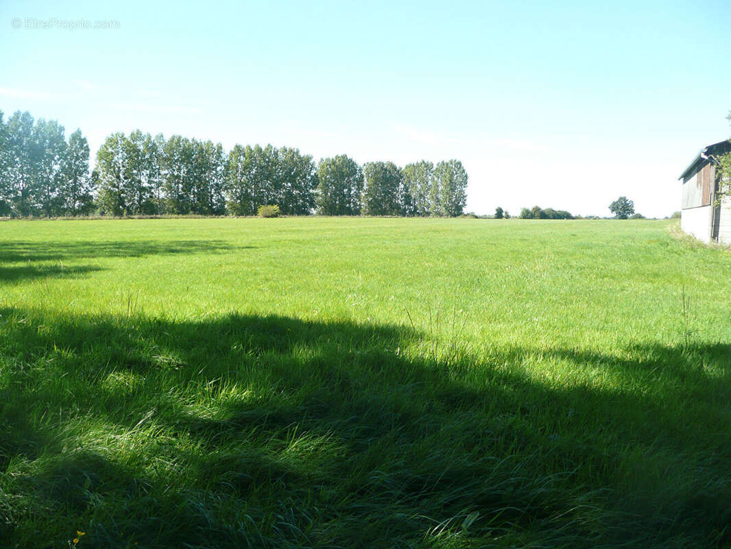 Maison à PONT-L'EVEQUE