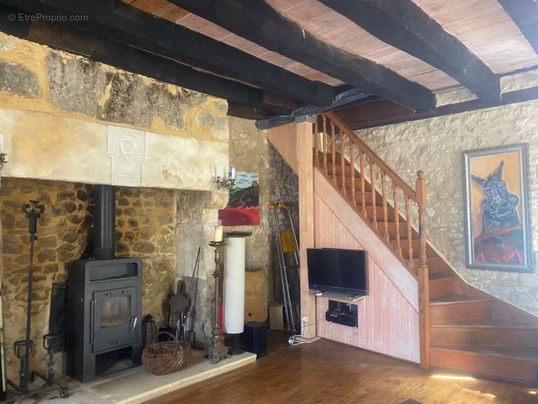 IMG_4287.jpg - Maison à BEYNAC-ET-CAZENAC