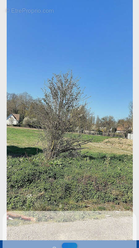 Terrain à CHAUMONT-EN-VEXIN