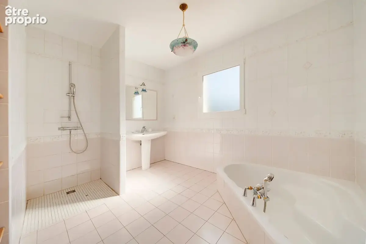 Maison Dombasle Sur Meurthe 9 pièce(s) 246 m2 - photo 9