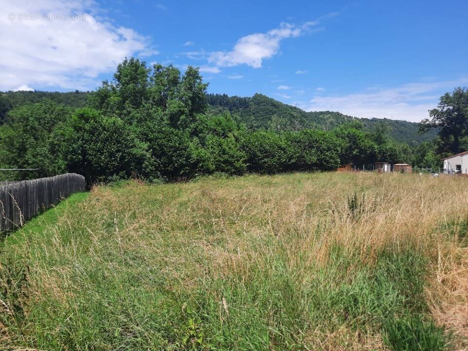 Terrain à SAINT-SIMON