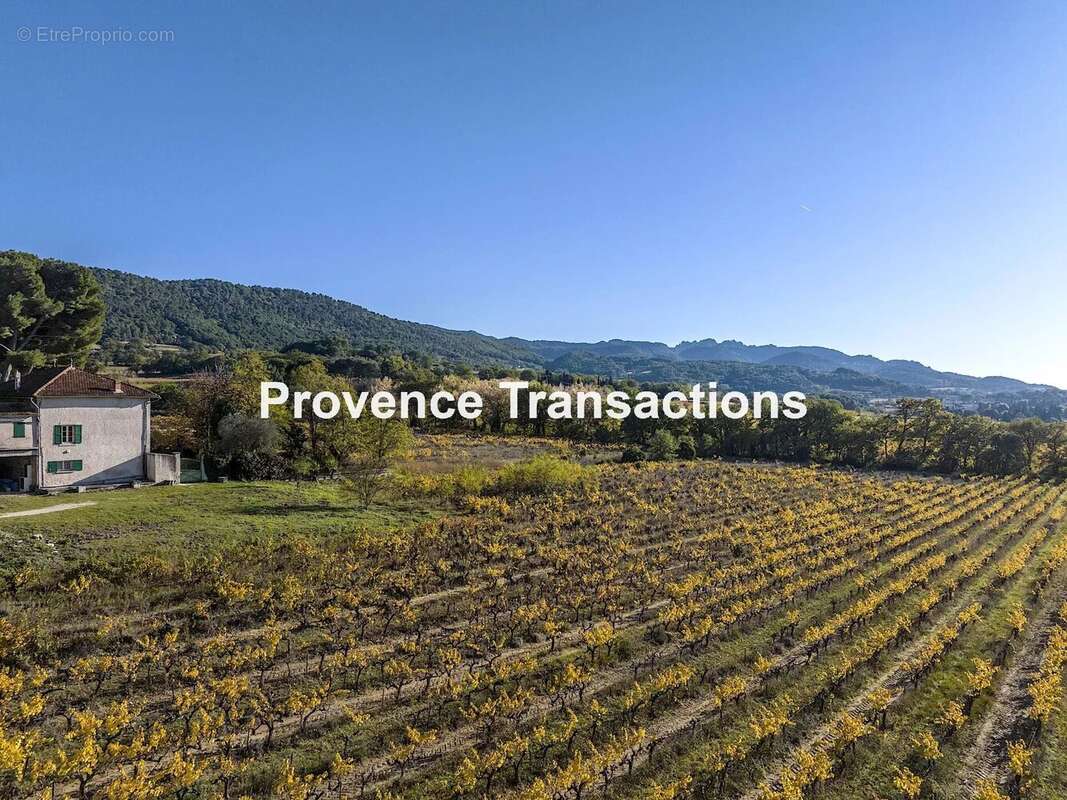 Mas vigneron sur 1,8ha de terrain - photo 6