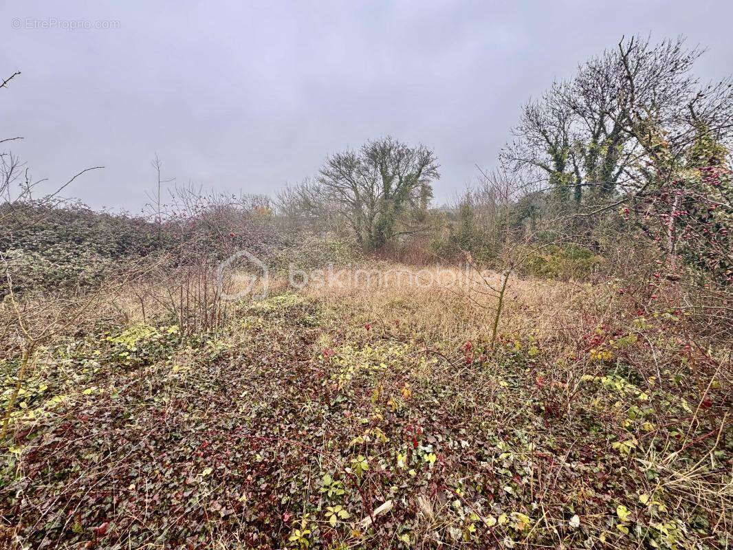 Terrain à MAIGNELAY-MONTIGNY
