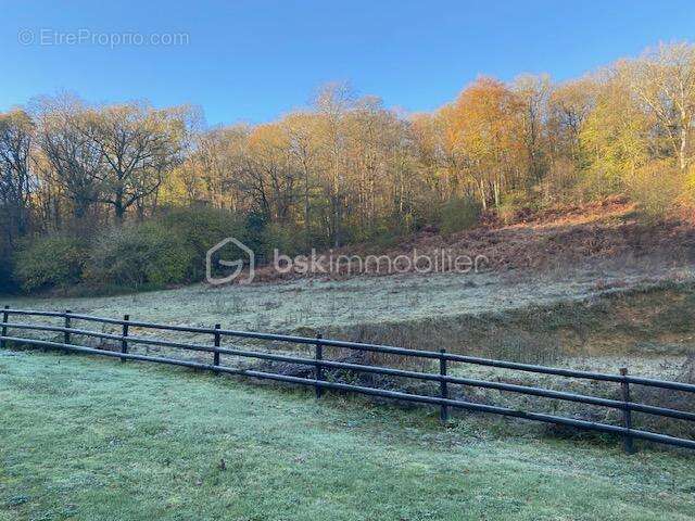 Entre Pont-Audemer et Montfort sur Risle - photo 15