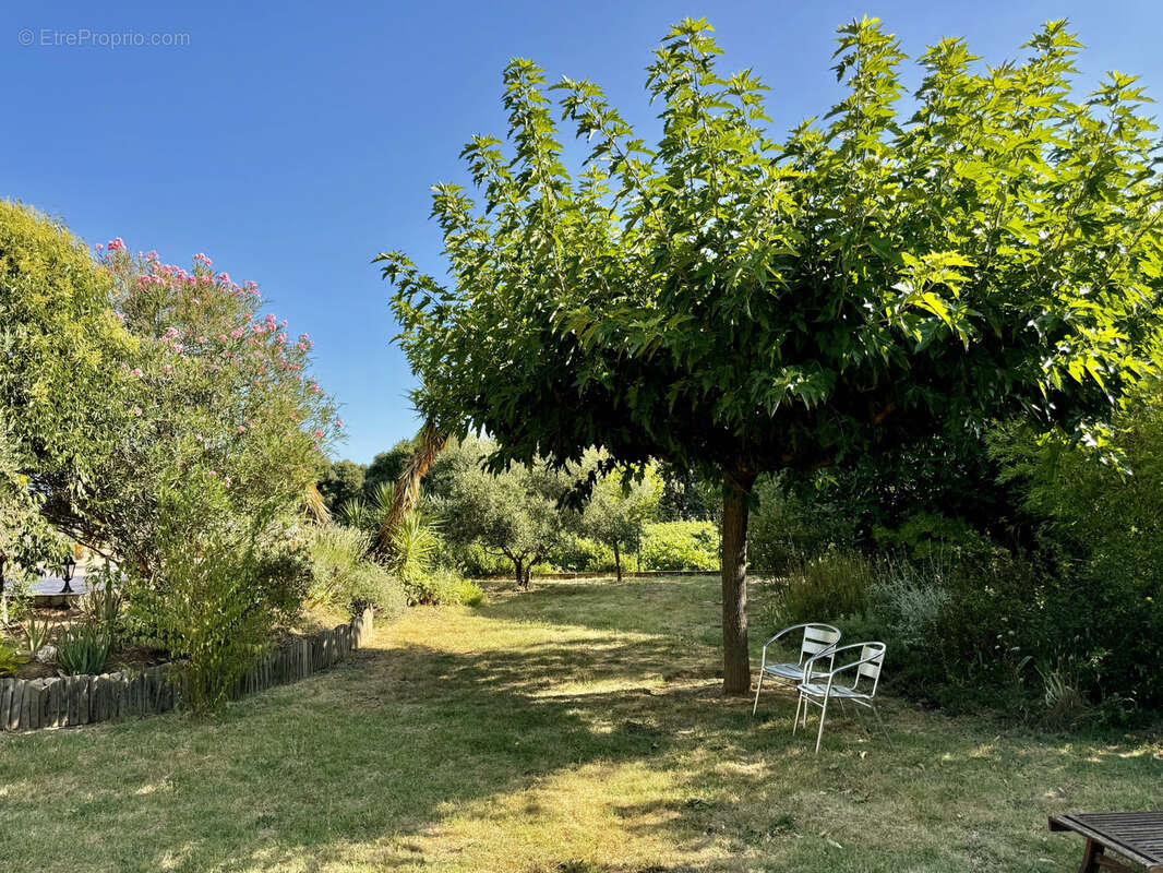 Maison avec vue à 10 min d'Uzès de 151 m2 sur 1252 m2 sans vis à vis, arboré piscinable et au calme - photo 5