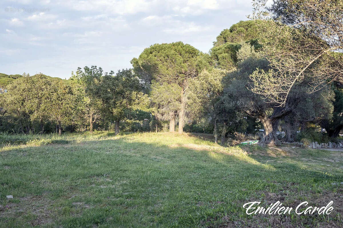 Terrain à SAINTE-MAXIME
