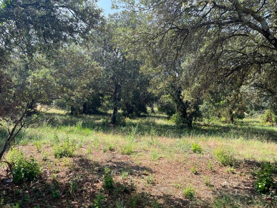 Terrain à LA BAUME-DE-TRANSIT