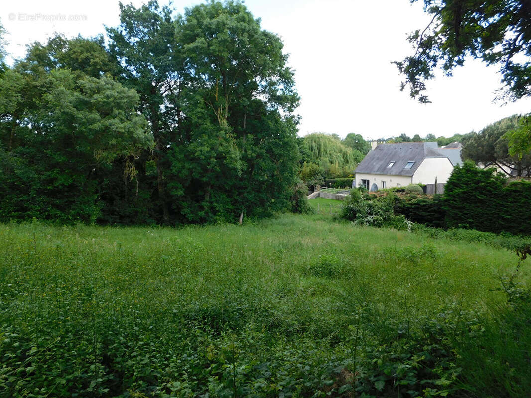 Terrain à MURS-ERIGNE