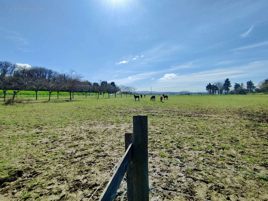 Maison à BONLIEU-SUR-ROUBION