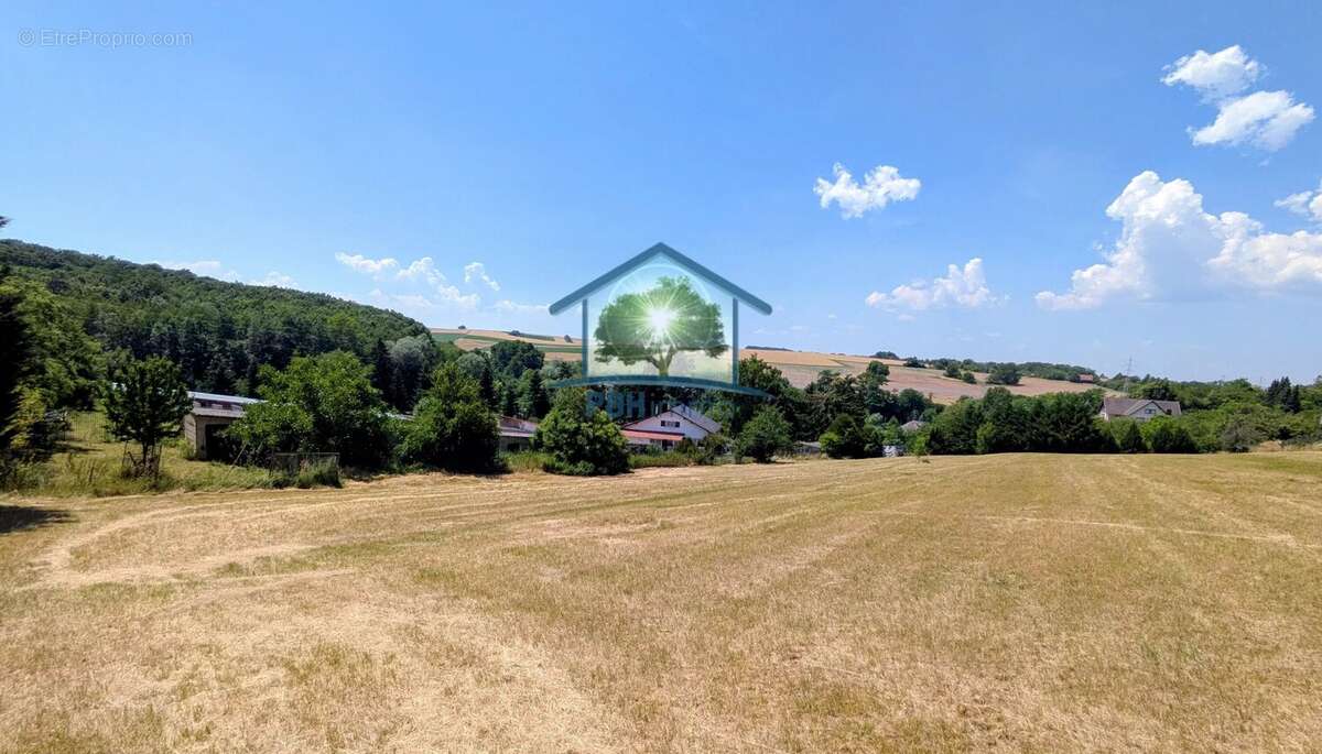 Maison à NIEDERMODERN