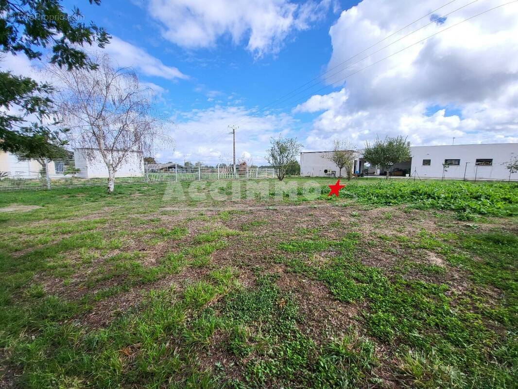 Terrain à SAINT-SULPICE