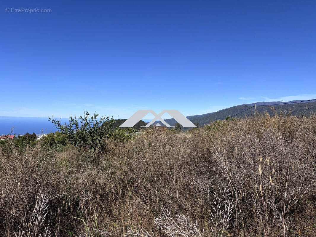 Terrain à SAINT-PIERRE