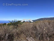 Terrain à SAINT-PIERRE