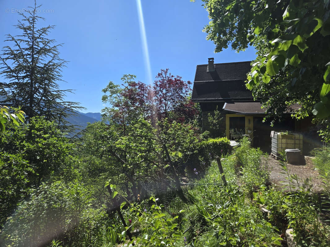 Opportunité Viagère - photo 3