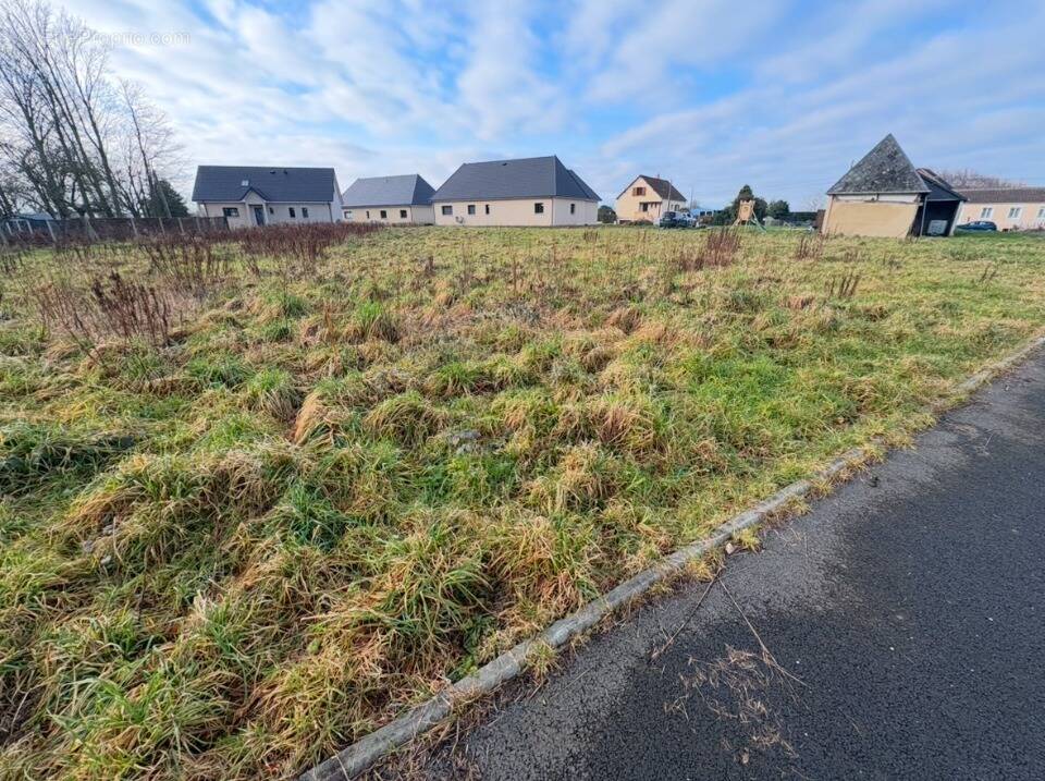 Terrain à FAUVILLE-EN-CAUX
