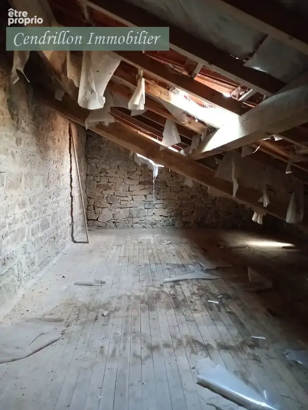 Ancien atelier de charron forgeron de 116 m2 avec sa boutique quincaillerie attenante de 56 m2 sur un terrain - photo 10