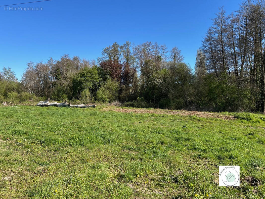 Terrain à BOURG