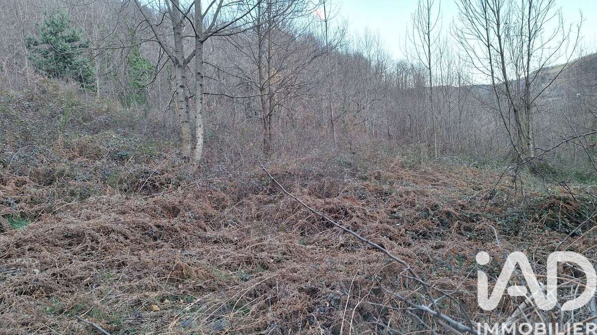 Photo 3 - Terrain à PRATS-DE-MOLLO-LA-PRESTE