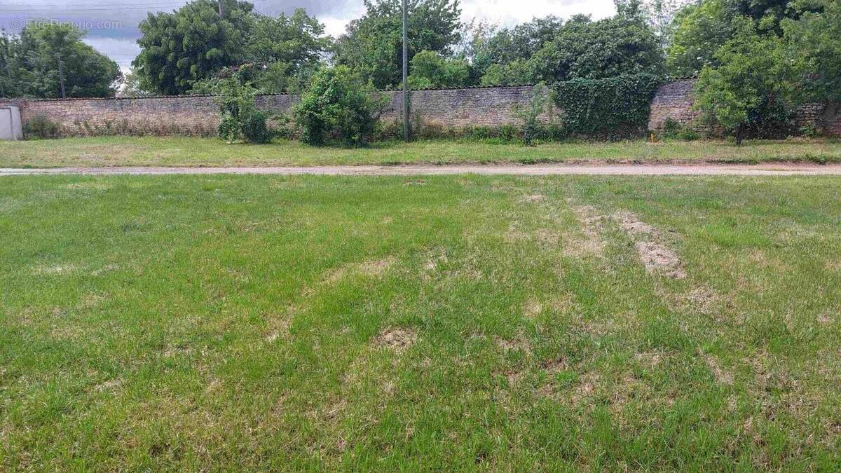 Terrain à BOUTIERS-SAINT-TROJAN