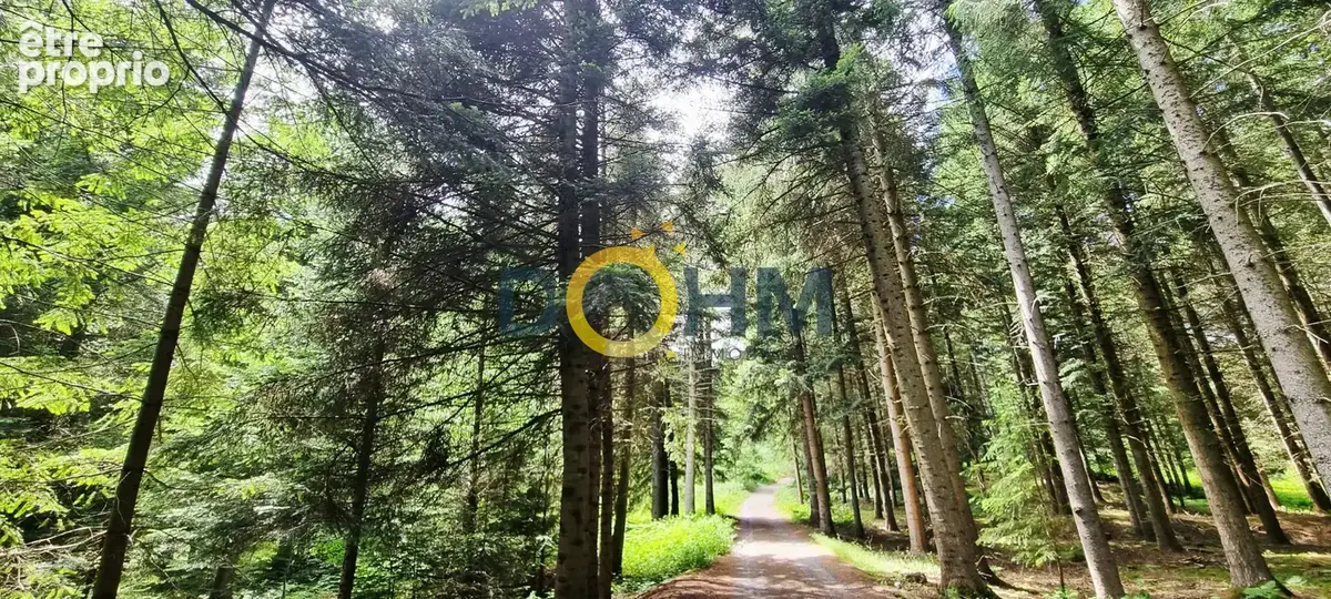 Propriété d'exception au cœur du Haut-Forez - photo 6