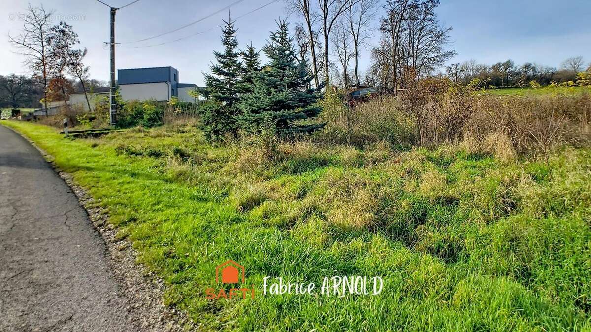 Photo 3 - Terrain à FLASTROFF