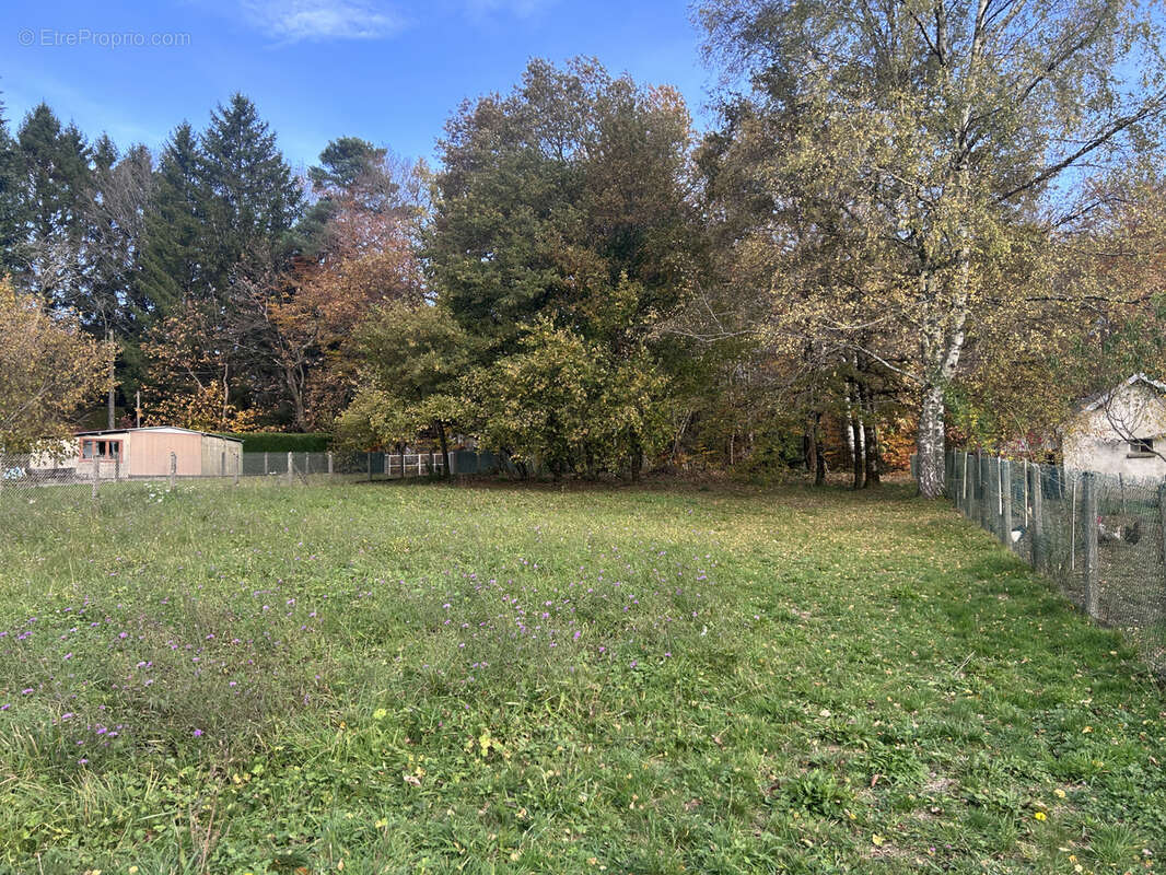 Terrain à SAINT-PRIVAT