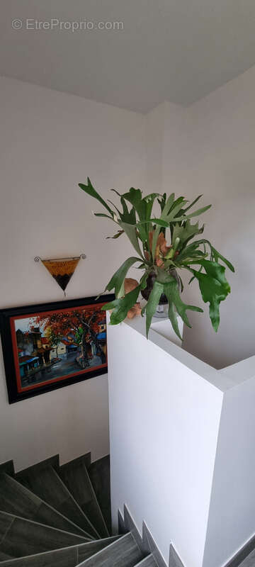 Maison à VOUNEUIL-SOUS-BIARD