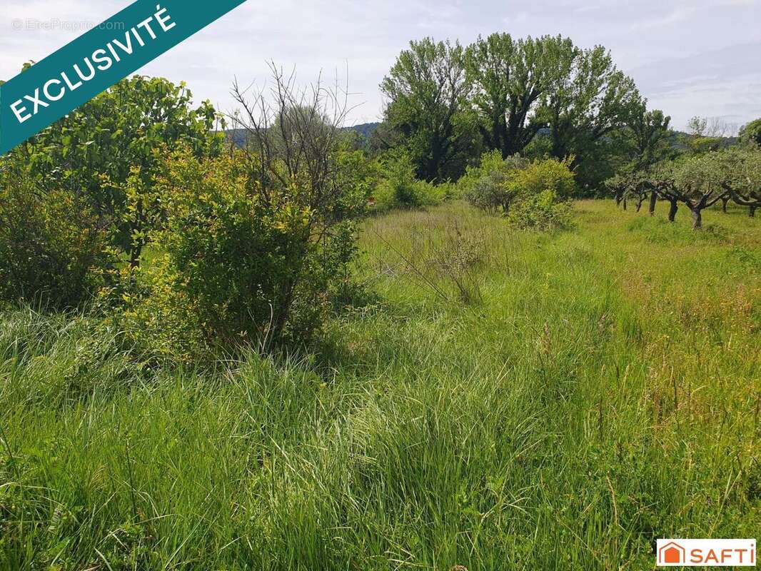 Photo 2 - Terrain à MONTFORT-SUR-ARGENS